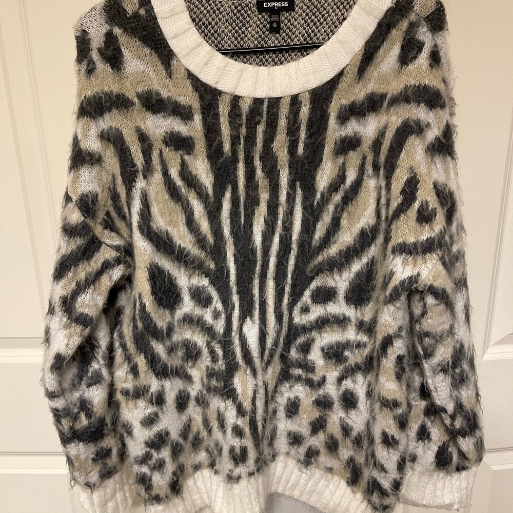 Express Sweater